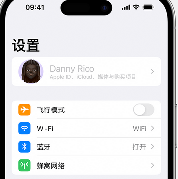 铺前镇appleID维修服务iPhone设置中Apple ID显示为灰色无法使用 