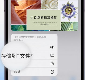 铺前镇apple维修中心分享iPhone文件应用中存储和找到下载文件