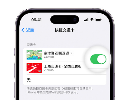 铺前镇apple维修点分享iPhone上更换Apple Pay快捷交通卡手绘卡面 