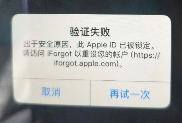 铺前镇iPhone维修分享iPhone上正常登录或使用AppleID怎么办 