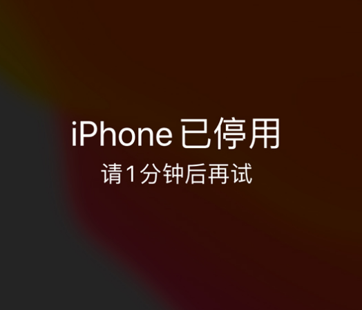 铺前镇苹果手机维修分享:iPhone 显示“不可用”或“已停用”怎么办？还能保留数据吗？ 