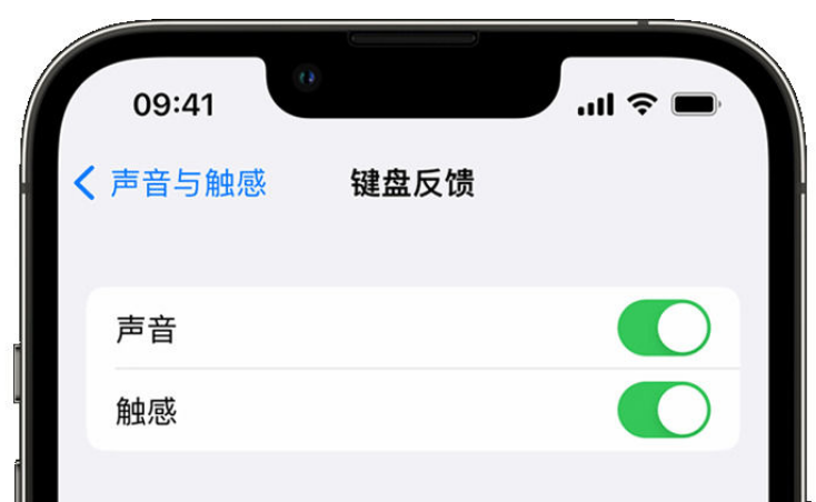 铺前镇苹果手机维修分享iPhone 14触感键盘使用方法 