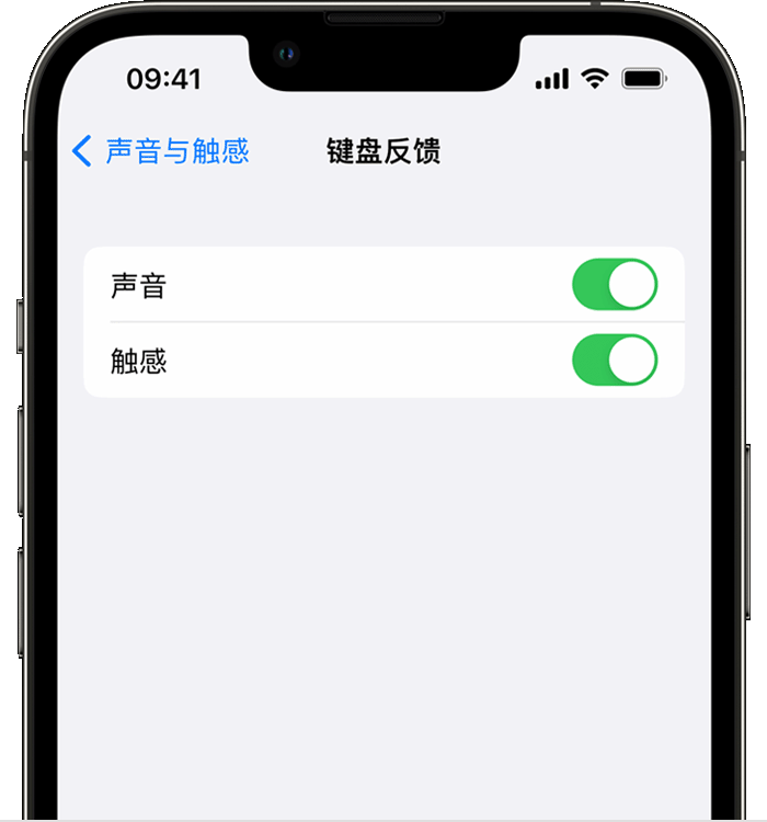 铺前镇苹果14维修店分享如何在 iPhone 14 机型中使用触感键盘 