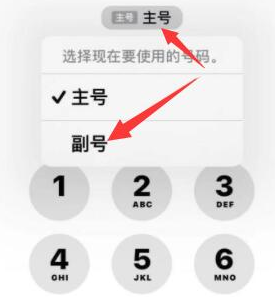 铺前镇苹果14维修店分享iPhone 14 Pro Max使用副卡打电话的方法 