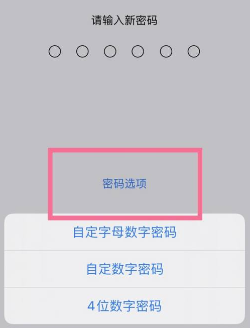 铺前镇苹果14维修分享iPhone 14plus设置密码的方法 