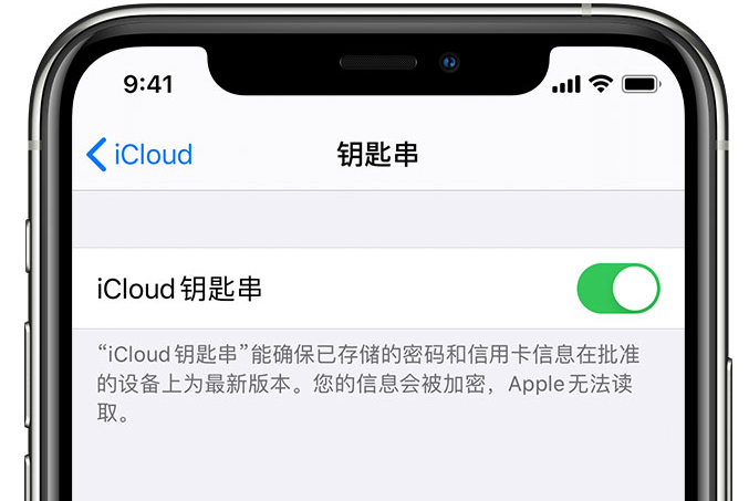 铺前镇苹果手机维修分享在 iPhone 上开启 iCloud 钥匙串之后会储存哪些信息 