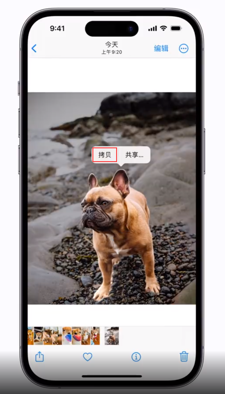 铺前镇苹果手机维修分享 iOS 16 自带一键抠图功能 