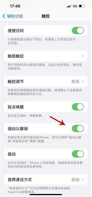 铺前镇苹果手机维修分享iPhone手机如何设置摇一摇删除文字 