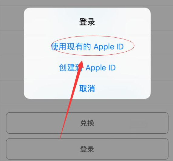铺前镇苹果手机维修分享两台iPhone设备可以同时登录一个Apple ID吗 