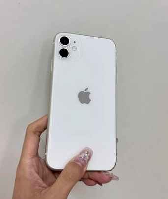 铺前镇苹果维修点分享iPhone 11黑屏特殊场景解析 