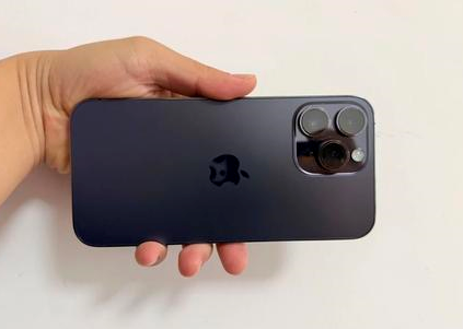 铺前镇苹果维修点分享iPhone 14 Pro Max黑屏少见故障盘点 